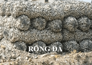 rong-da-2